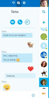 Skype Chat